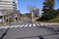 �j�R����IMGE SPACE�֍s���܂��B