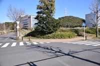 �j�R����IMGE SPACE�֍s���܂��B