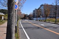 �j�R����IMGE SPACE�֍s���܂��B