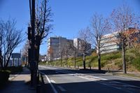 �j�R����IMGE SPACE�֍s���܂��B