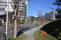 �j�R����IMGE SPACE�֍s���܂��B