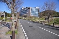 �j�R����IMGE SPACE�֍s���܂��B