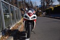 �j�R����IMGE SPACE�֍s���܂��B