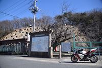 �j�R����IMGE SPACE�֍s���܂��B