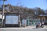 �j�R����IMGE SPACE�֍s���܂��B