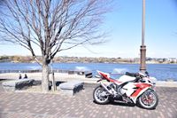 �j�R����IMGE SPACE�֍s���܂��B