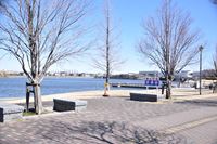 �j�R����IMGE SPACE�֍s���܂��B