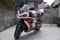 �j�R����IMGE SPACE�֍s���܂��B