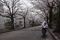 �j�R����IMGE SPACE�֍s���܂��B