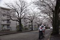 �j�R����IMGE SPACE�֍s���܂��B