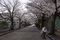 �j�R����IMGE SPACE�֍s���܂��B