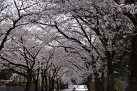 �j�R����IMGE SPACE�֍s���܂��B