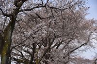 �j�R����IMGE SPACE�֍s���܂��B