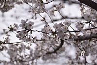 �j�R����IMGE SPACE�֍s���܂��B