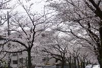 �j�R����IMGE SPACE�֍s���܂��B