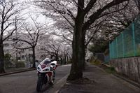 �j�R����IMGE SPACE�֍s���܂��B