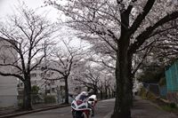 �j�R����IMGE SPACE�֍s���܂��B