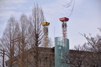 �j�R����IMGE SPACE�֍s���܂��B