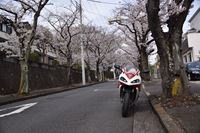 �j�R����IMGE SPACE�֍s���܂��B