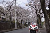 �j�R����IMGE SPACE�֍s���܂��B