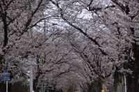 �j�R����IMGE SPACE�֍s���܂��B