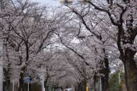 �j�R����IMGE SPACE�֍s���܂��B