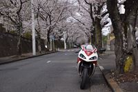 �j�R����IMGE SPACE�֍s���܂��B