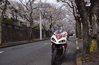 �j�R����IMGE SPACE�֍s���܂��B