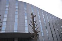 �j�R����IMGE SPACE�֍s���܂��B