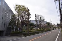 �j�R����IMGE SPACE�֍s���܂��B