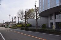 �j�R����IMGE SPACE�֍s���܂��B