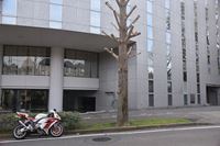 �j�R����IMGE SPACE�֍s���܂��B