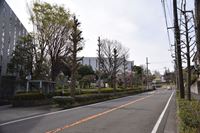 �j�R����IMGE SPACE�֍s���܂��B