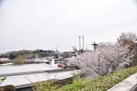 �j�R����IMGE SPACE�֍s���܂��B