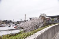 �j�R����IMGE SPACE�֍s���܂��B