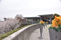 �j�R����IMGE SPACE�֍s���܂��B