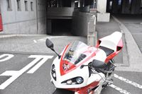 �j�R����IMGE SPACE�֍s���܂��B