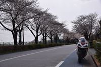 �j�R����IMGE SPACE�֍s���܂��B