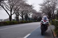 �j�R����IMGE SPACE�֍s���܂��B