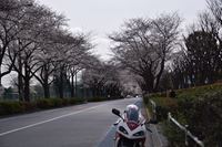 �j�R����IMGE SPACE�֍s���܂��B