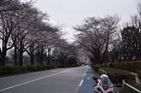 �j�R����IMGE SPACE�֍s���܂��B