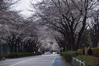 �j�R����IMGE SPACE�֍s���܂��B