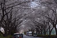 �j�R����IMGE SPACE�֍s���܂��B