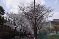 �j�R����IMGE SPACE�֍s���܂��B