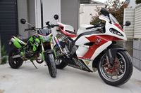 �j�R����IMGE SPACE�֍s���܂��B