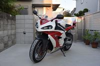 �j�R����IMGE SPACE�֍s���܂��B