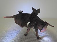 �N���b�N����Ƒ傫���\�����܂��B