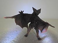 �N���b�N����Ƒ傫���\�����܂��B