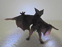 �N���b�N����Ƒ傫���\�����܂��B