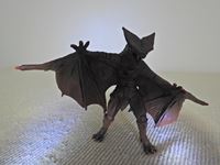 �N���b�N����Ƒ傫���\�����܂��B